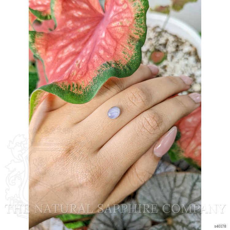1.49 Ct. Bluish Grey Star Sapphire from Ceylon (Sri Lanka)