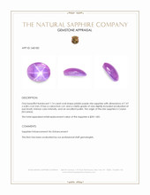 1.14 Ct. Pinkish Purple Star Sapphire from Ceylon (Sri Lanka) Appraisal