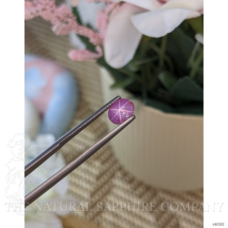 1.14 Ct. Pinkish Purple Star Sapphire from Ceylon (Sri Lanka)