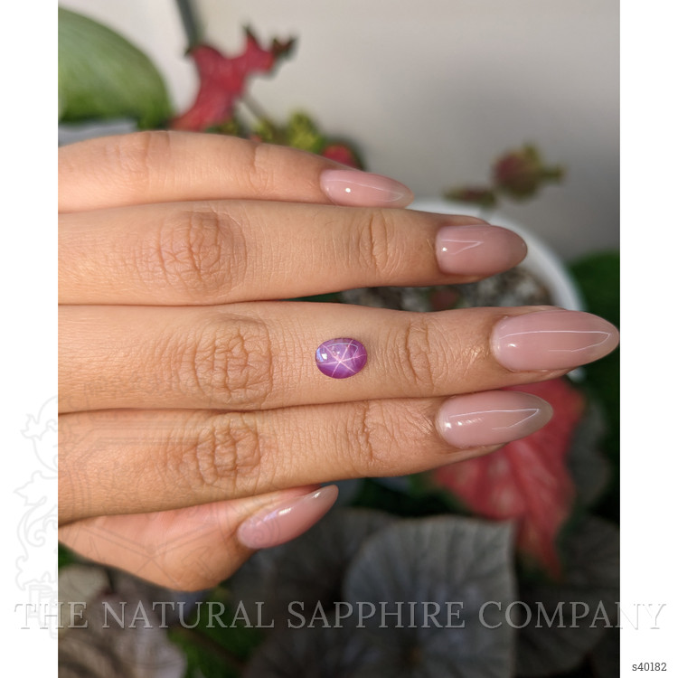 1.14 Ct. Pinkish Purple Star Sapphire from Ceylon (Sri Lanka)