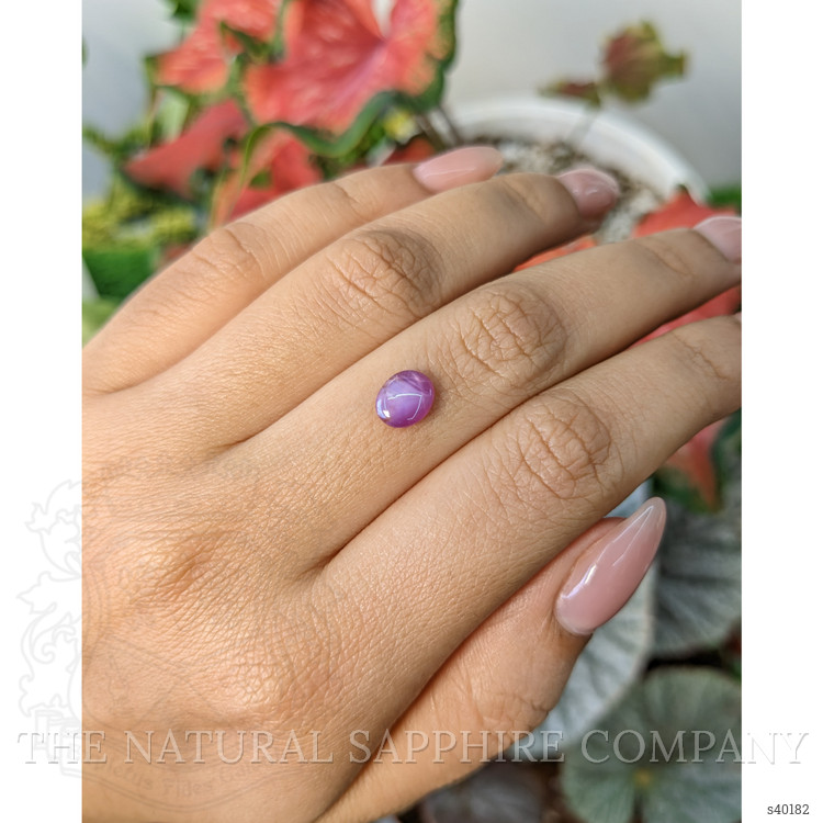 1.14 Ct. Pinkish Purple Star Sapphire from Ceylon (Sri Lanka)