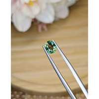 1.13 Ct. Bluish Green Sapphire from Madagascar Life Style
