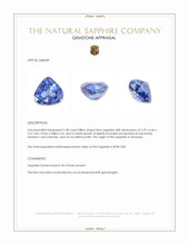 1.00 Ct. Blue Sapphire from Tanzania Appraisal