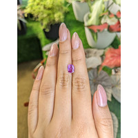 1.70 Ct. Pinkish Purple Sapphire from Ceylon (Sri Lanka) Life Style