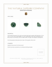 Jewelry Appraisal