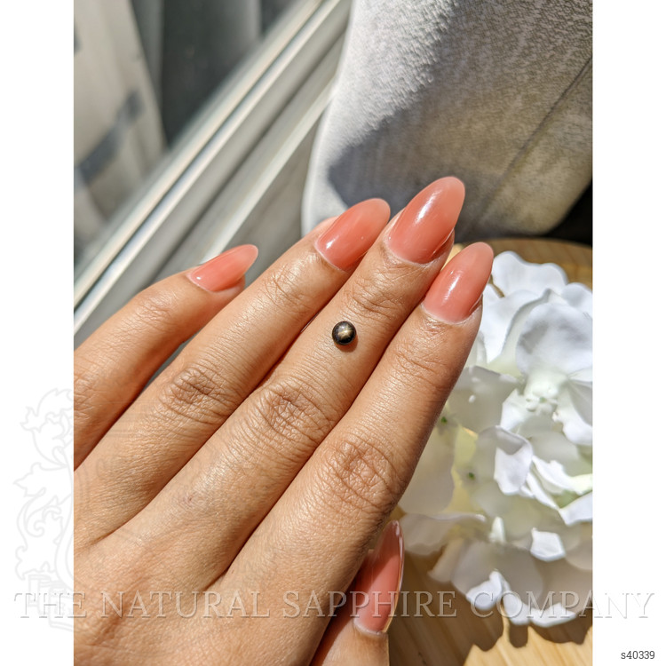 0.48 Ct. Black Star Sapphire from Ceylon (Sri Lanka)