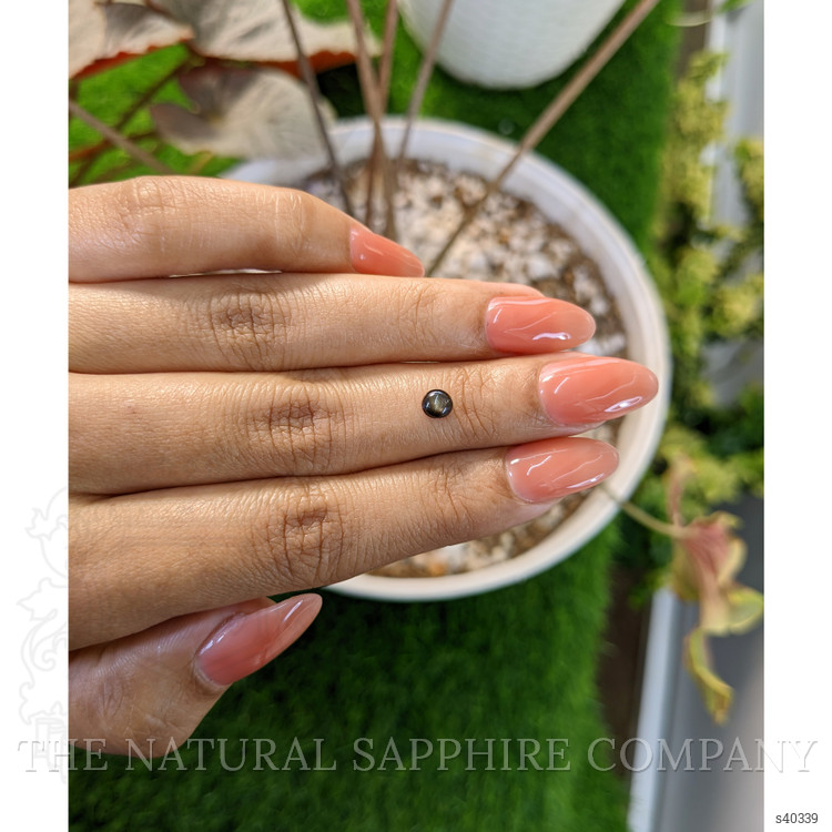 0.48 Ct. Black Star Sapphire from Ceylon (Sri Lanka)