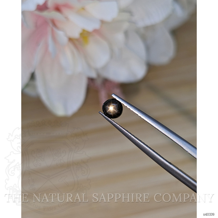0.48 Ct. Black Star Sapphire from Ceylon (Sri Lanka)