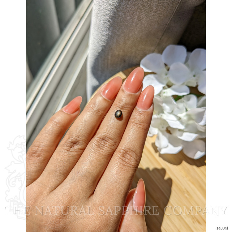 0.73 Ct. Black Star Sapphire from Ceylon (Sri Lanka)