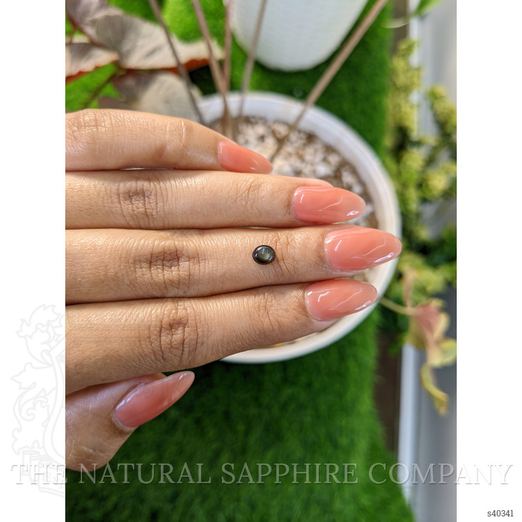 0.73 Ct. Black Star Sapphire from Ceylon (Sri Lanka)
