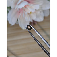 0.73 Ct. Black Star Sapphire from Ceylon (Sri Lanka) Life Style