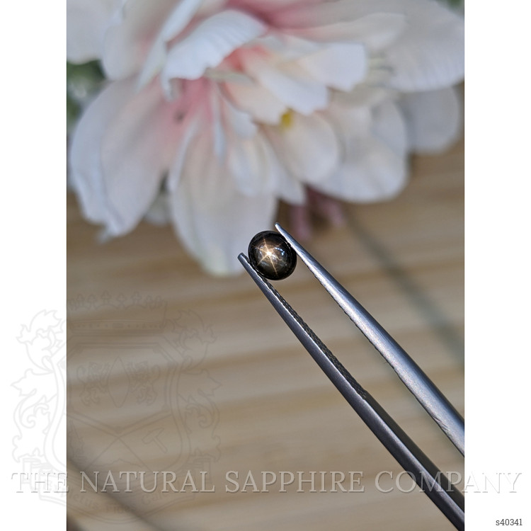 0.73 Ct. Black Star Sapphire from Ceylon (Sri Lanka)