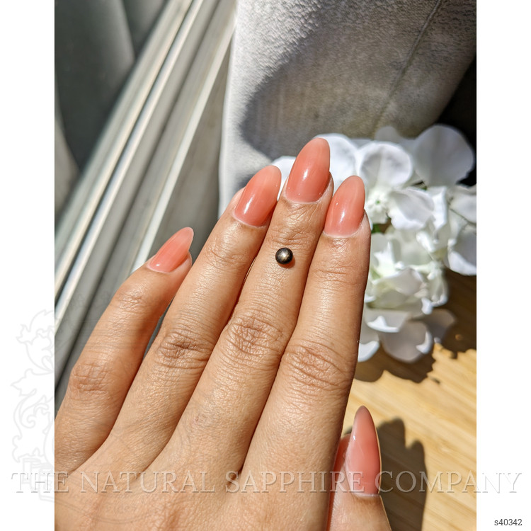 0.48 Ct. Black Star Sapphire from Ceylon (Sri Lanka)