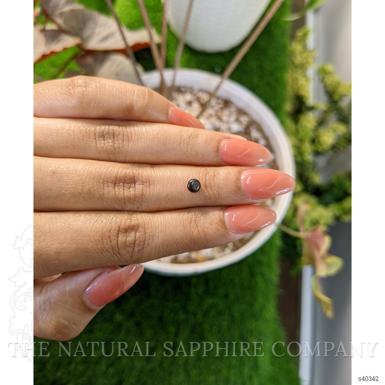 0.48 Ct. Black Star Sapphire from Ceylon (Sri Lanka)