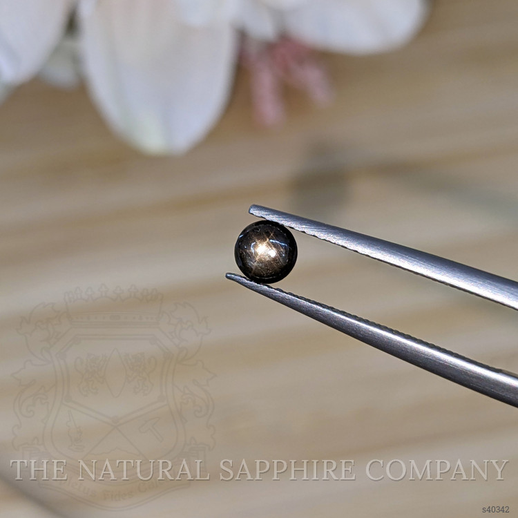0.48 Ct. Black Star Sapphire from Ceylon (Sri Lanka)
