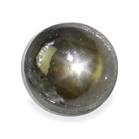 0.74 Ct. Greenish Brown Star Sapphire from Ceylon (Sri Lanka) Video