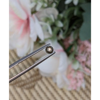 0.74 Ct. Greenish Brown Star Sapphire from Ceylon (Sri Lanka) Life Style