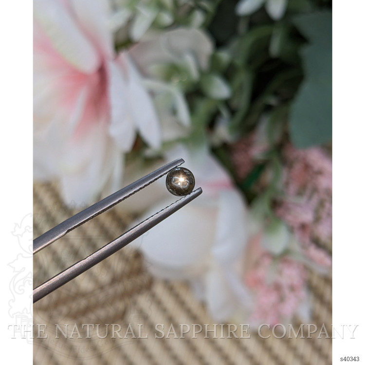 0.74 Ct. Greenish Brown Star Sapphire from Ceylon (Sri Lanka)