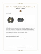 0.53 Ct. Black Star Sapphire from Ceylon (Sri Lanka) Appraisal