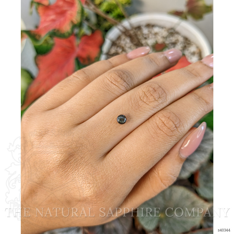 0.53 Ct. Black Star Sapphire from Ceylon (Sri Lanka)