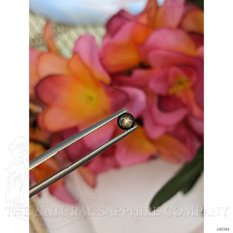 0.53 Ct. Black Star Sapphire from Ceylon (Sri Lanka)