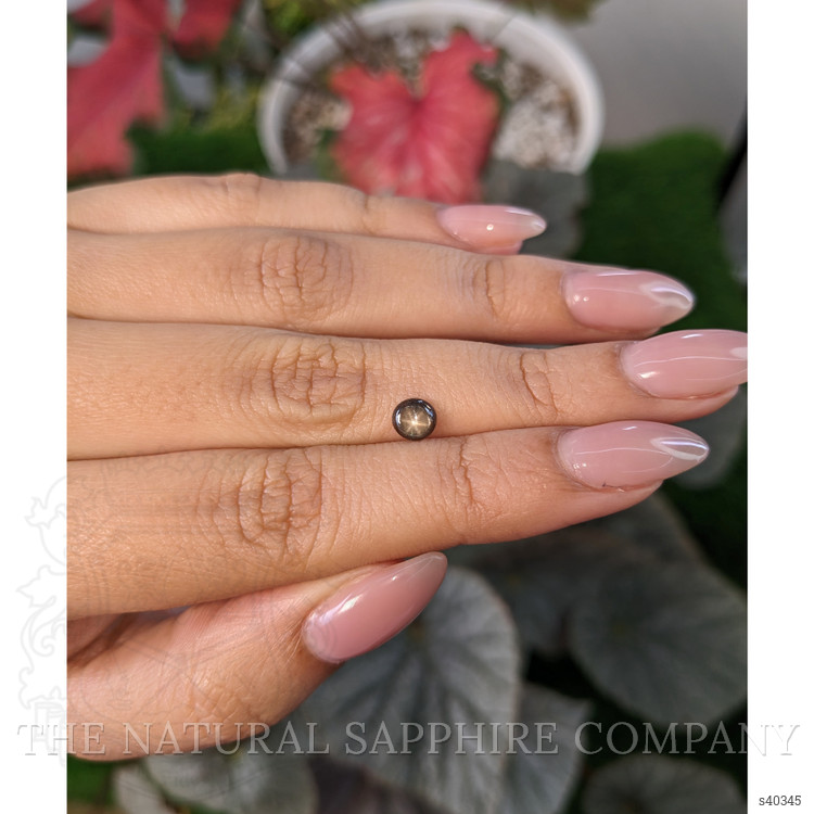 0.78 Ct. Brown Star Sapphire from Ceylon (Sri Lanka)
