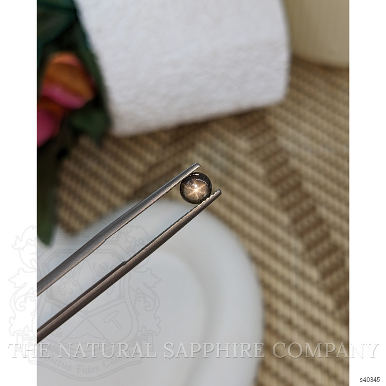 0.78 Ct. Brown Star Sapphire from Ceylon (Sri Lanka)