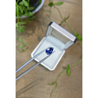2.63 Ct. Blue Sapphire from Ceylon (Sri Lanka) Life Style