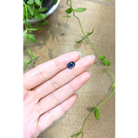 1.85 Ct. Blue Sapphire from Ceylon (Sri Lanka) Life Style