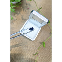 1.90 Ct. Blue Sapphire from Ceylon (Sri Lanka) Life Style