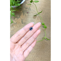 1.90 Ct. Blue Sapphire from Ceylon (Sri Lanka) Life Style
