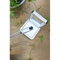 2.14 Ct. Blue Sapphire from Ceylon (Sri Lanka) Life Style