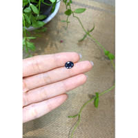 2.14 Ct. Blue Sapphire from Ceylon (Sri Lanka) Life Style