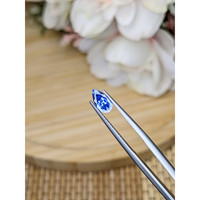 0.88 Ct. Blue Sapphire from Ceylon (Sri Lanka) Life Style