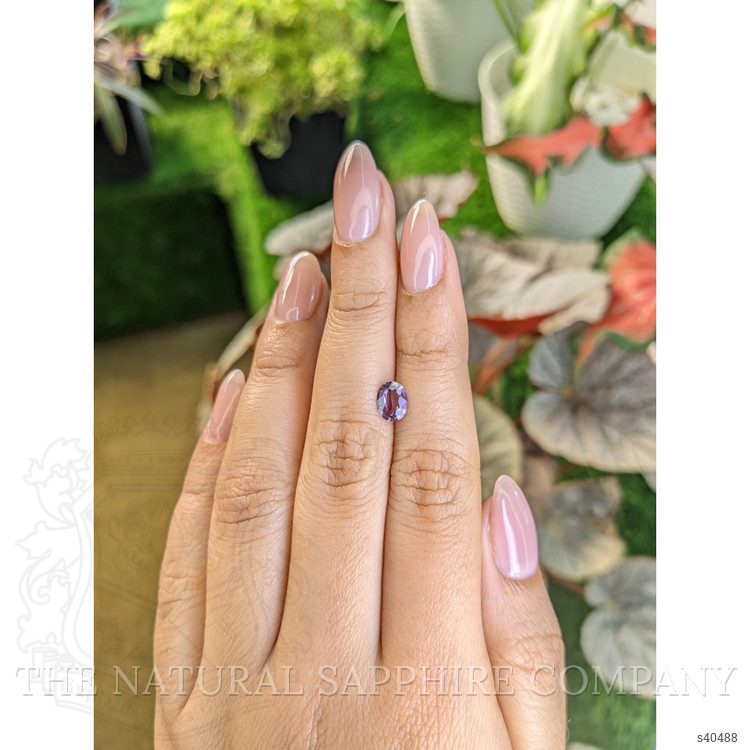 0.68 Ct. Purple Sapphire from Ceylon (Sri Lanka)