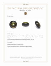 0.82 Ct. Black Star Sapphire from Ceylon (Sri Lanka) Appraisal