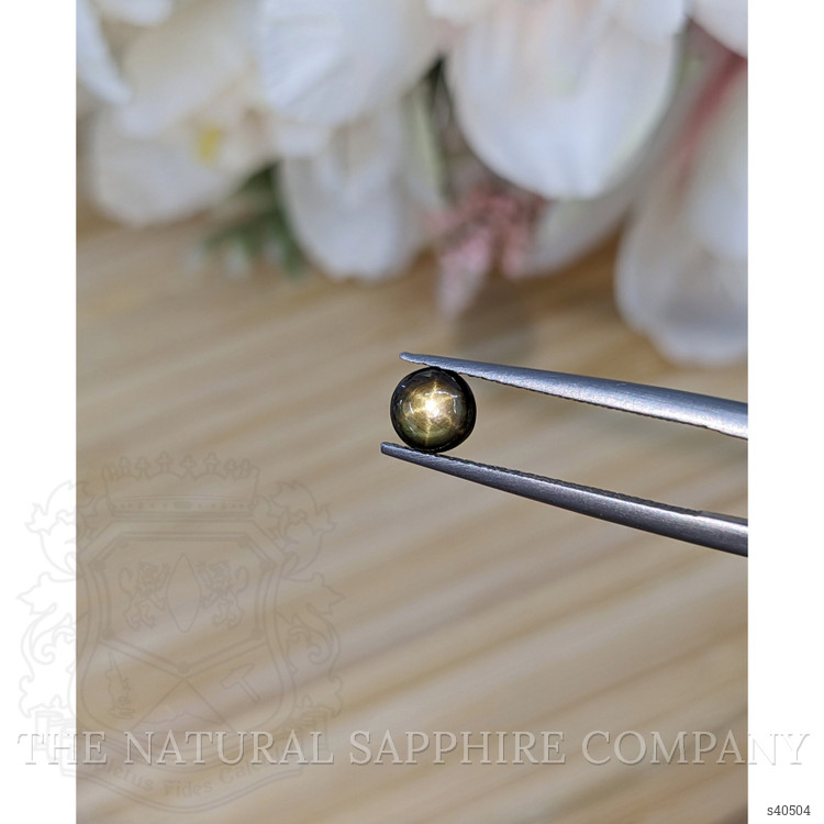 0.82 Ct. Black Star Sapphire from Ceylon (Sri Lanka)