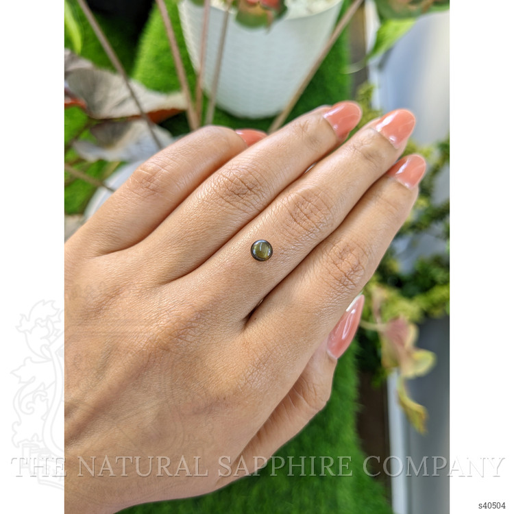 0.82 Ct. Black Star Sapphire from Ceylon (Sri Lanka)