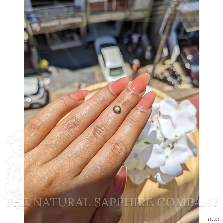0.82 Ct. Black Star Sapphire from Ceylon (Sri Lanka)