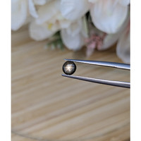 0.68 Ct. Brown Star Sapphire from Ceylon (Sri Lanka) Life Style