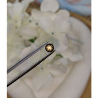 0.75 Ct. Brownish Green Star Sapphire from Ceylon (Sri Lanka) Life Style