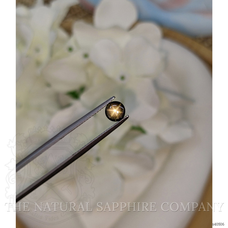 0.75 Ct. Brownish Green Star Sapphire from Ceylon (Sri Lanka)