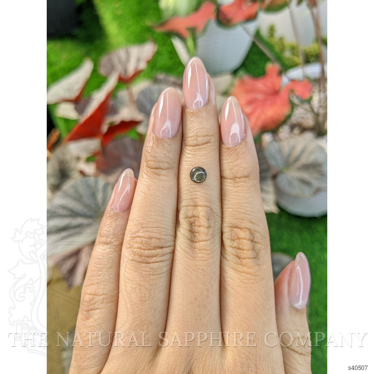 0.63 Ct. Black Star Sapphire from Ceylon (Sri Lanka)