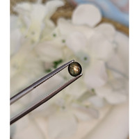 0.63 Ct. Black Star Sapphire from Ceylon (Sri Lanka) Life Style