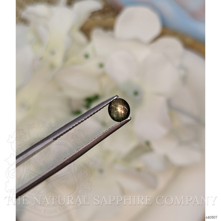 0.63 Ct. Black Star Sapphire from Ceylon (Sri Lanka)