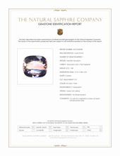 Jewelry Scan Report
