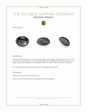 2.99 Ct. Black Star Sapphire from Thailand Appraisal