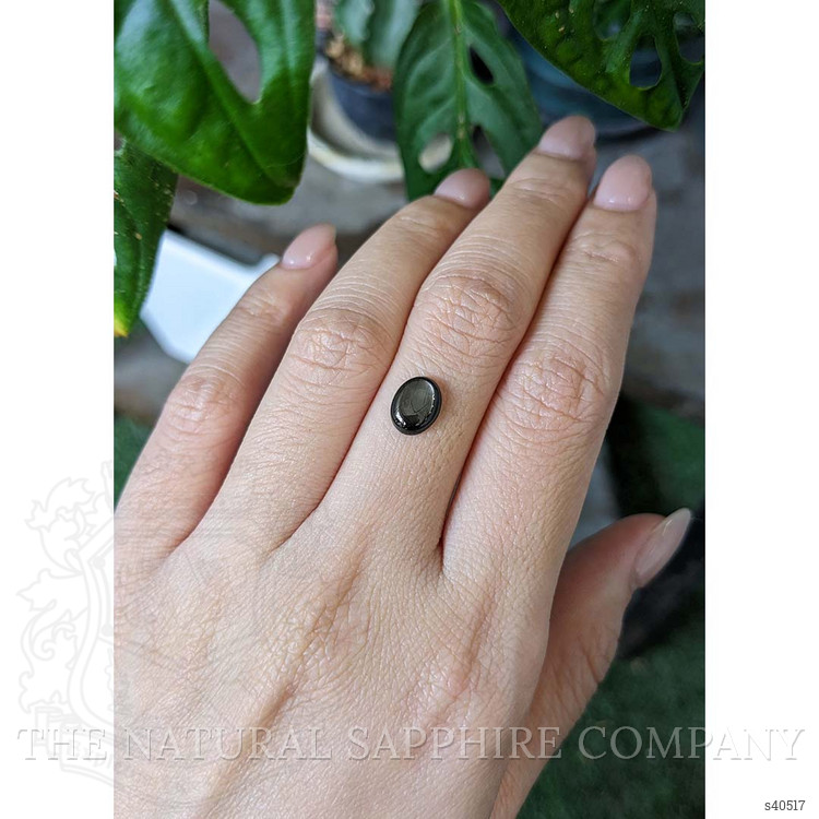 1.85 Ct. Black Star Sapphire from Thailand