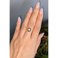 2.44 Ct. Black Star Sapphire from Thailand Life Style