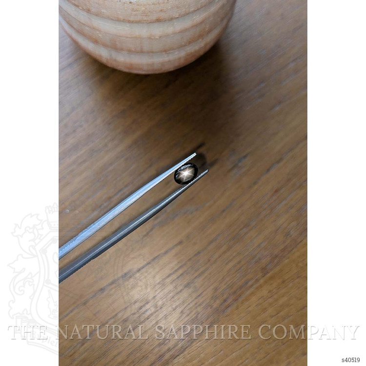2.00 Ct. Black Star Sapphire from Thailand